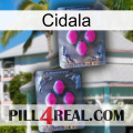 Cidala 01